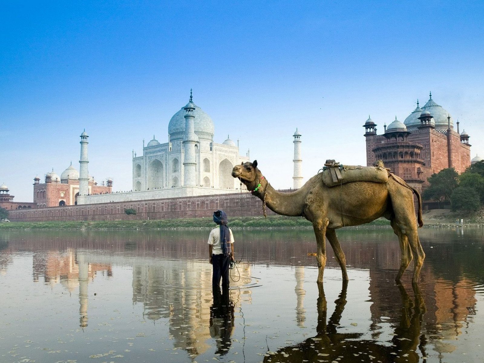 man made Taj Mahal Image