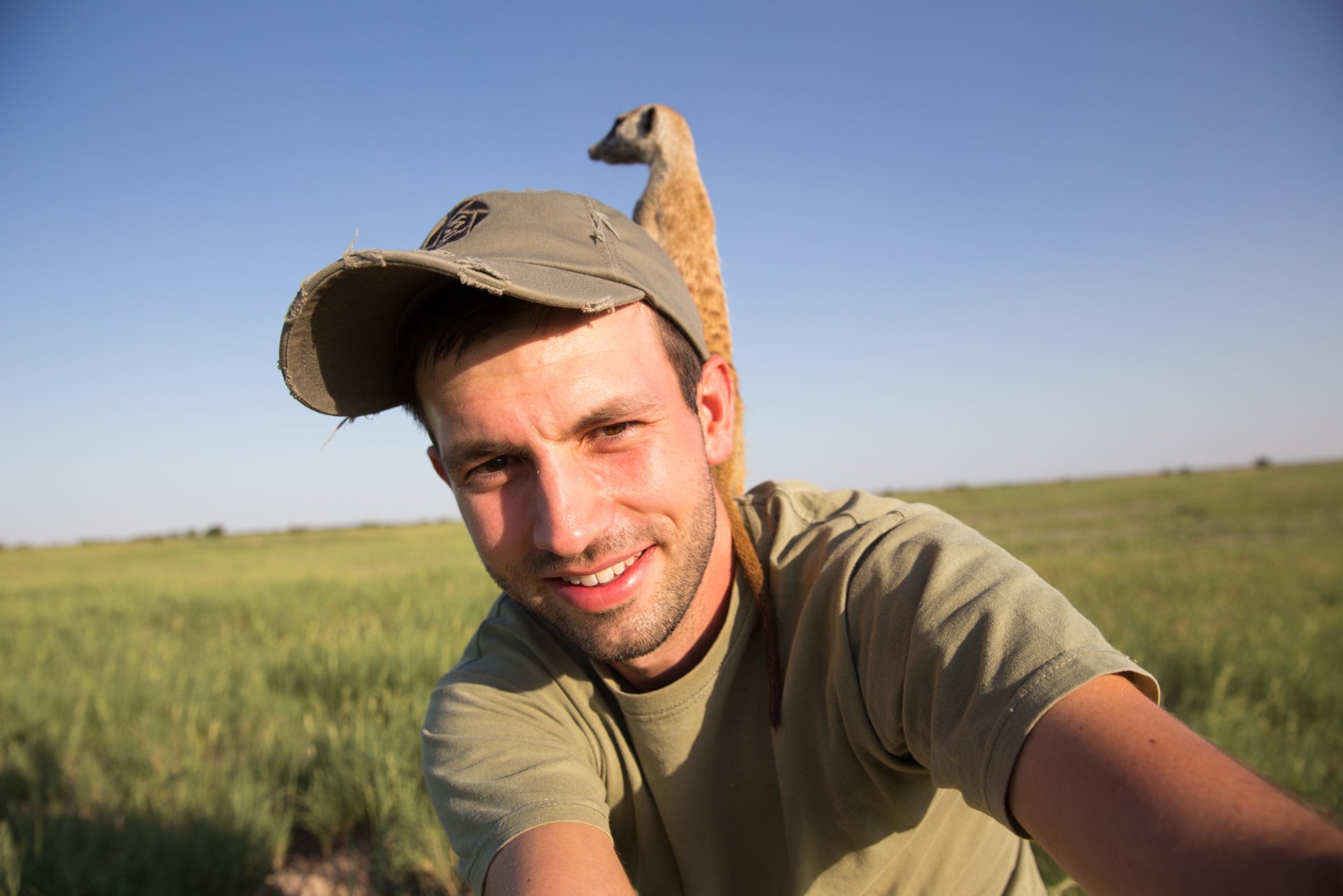  Meerkat photography - Will Burrard Lucas by Will Burrard Lucas