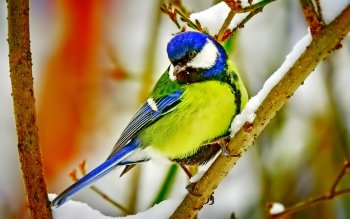 Preview Image 292221