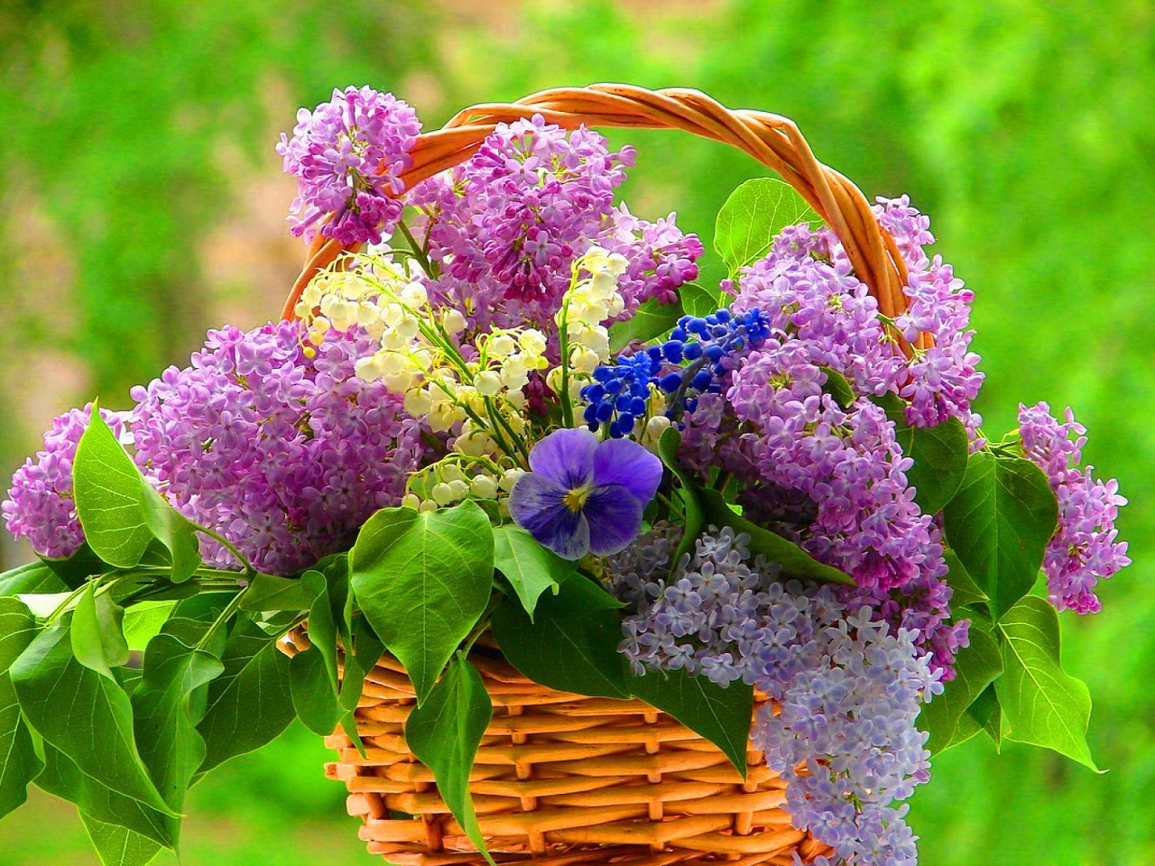 lavender lilacs in a basket