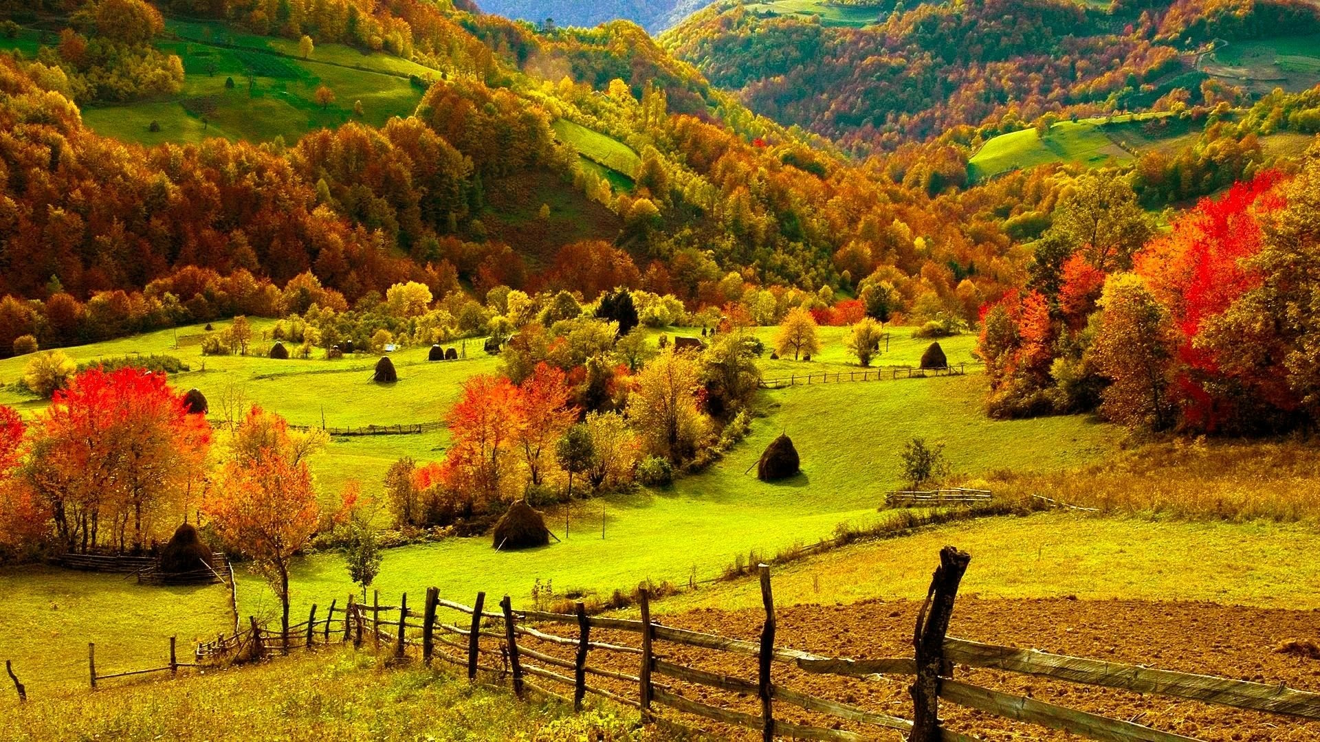 Fall landscape photography: rolling hills and vivid autumn trees with a rustic wooden fence leading into a sunlit valley.