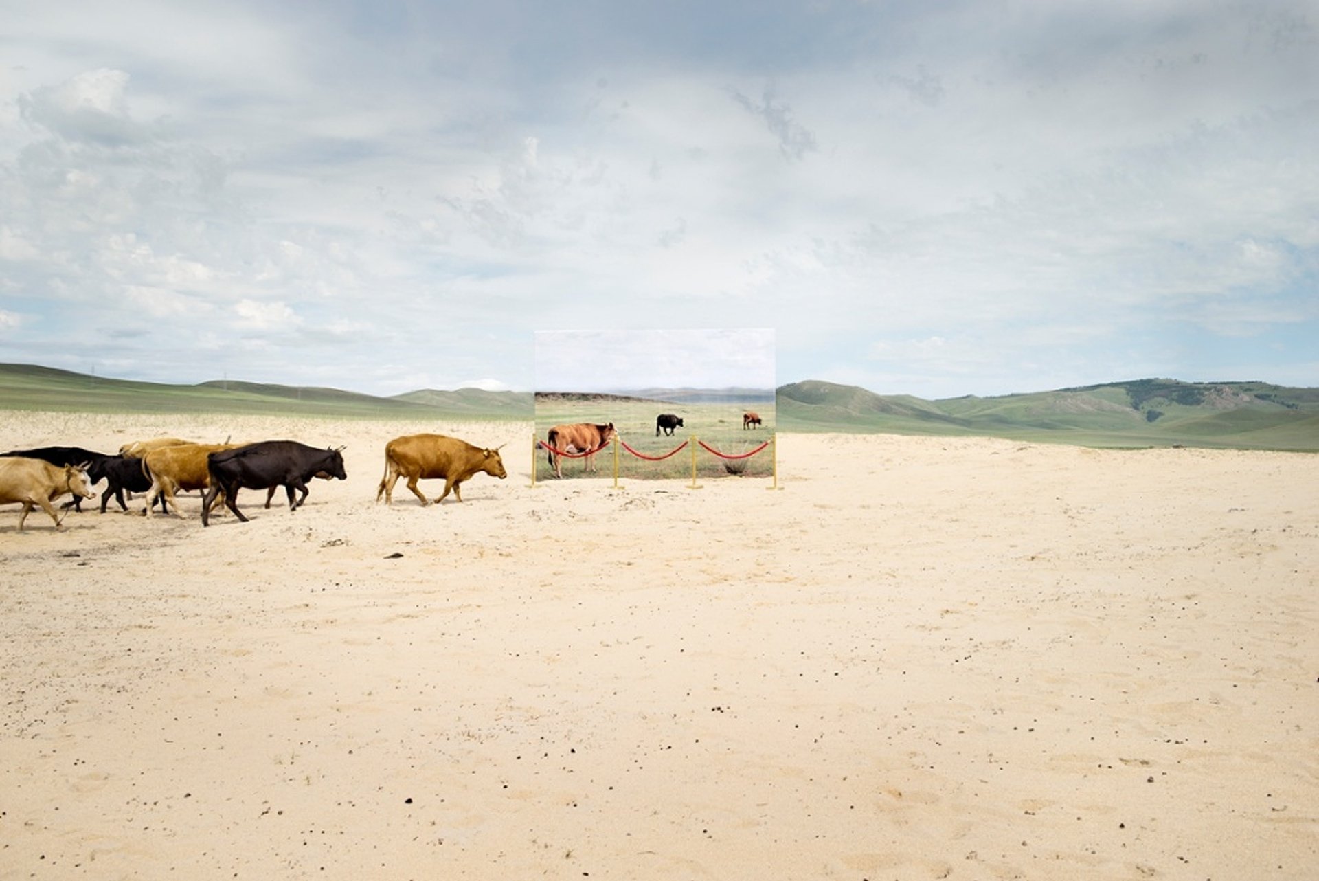  Amazing Mongolian landscape photos revealing the climate impact on desertification by Daesung Lee