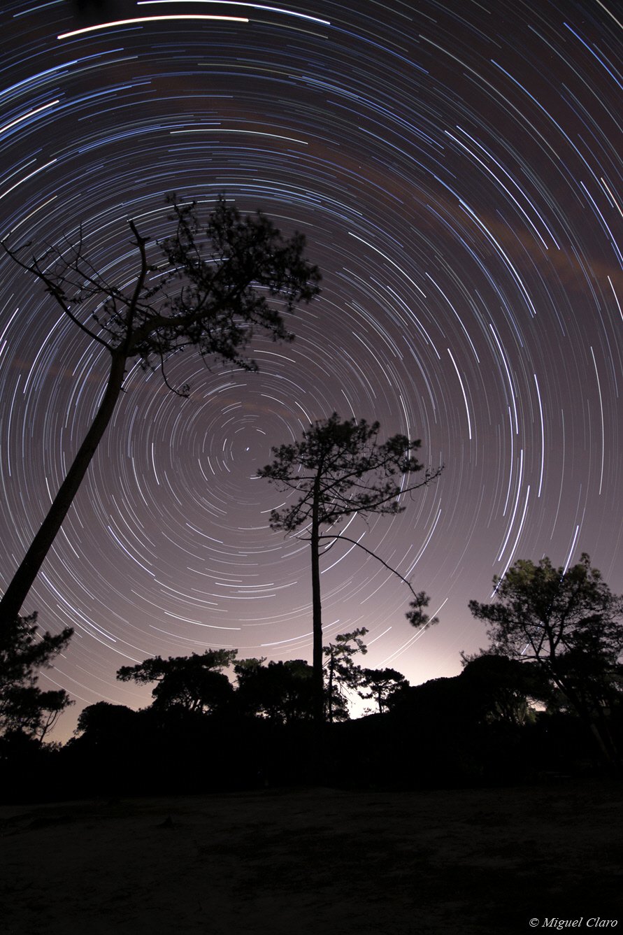  Perseid meteors, August 2016 by Miguel Claro