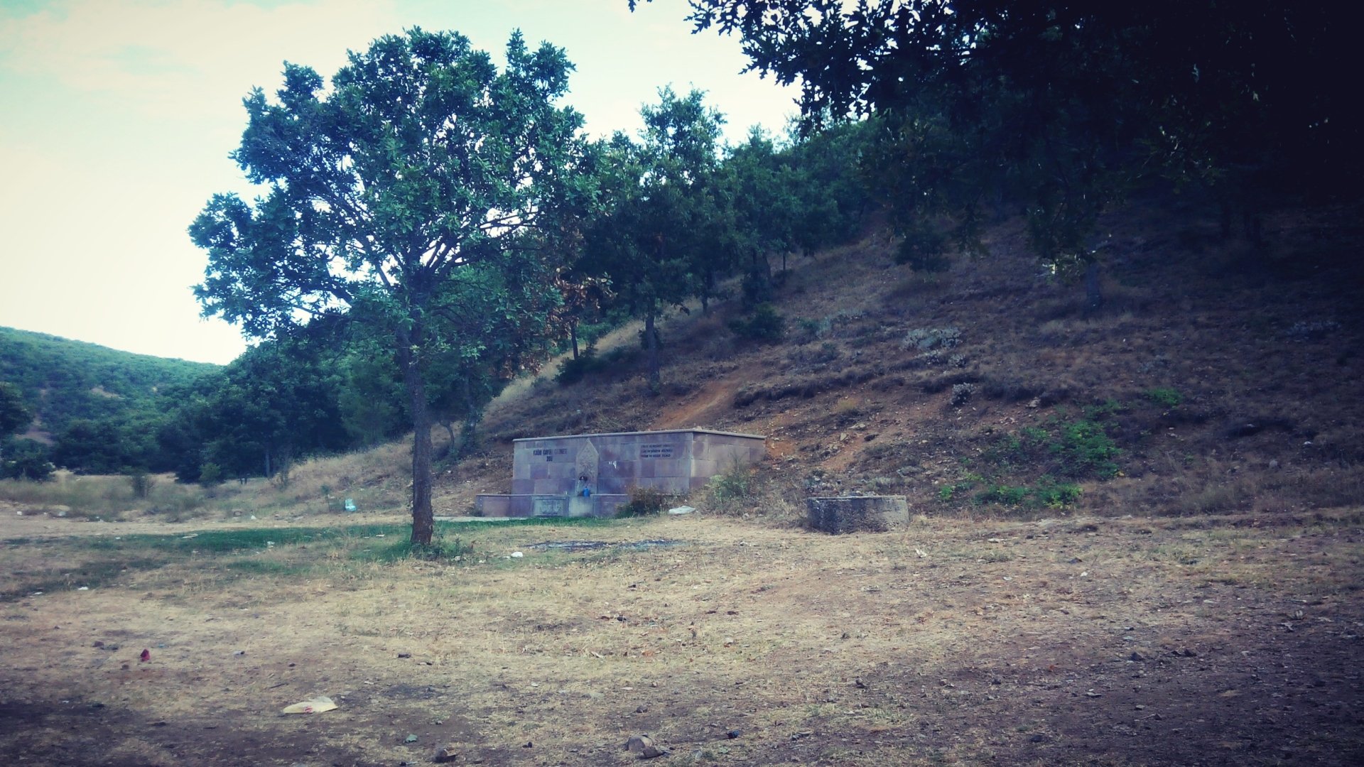 nature landscape Image