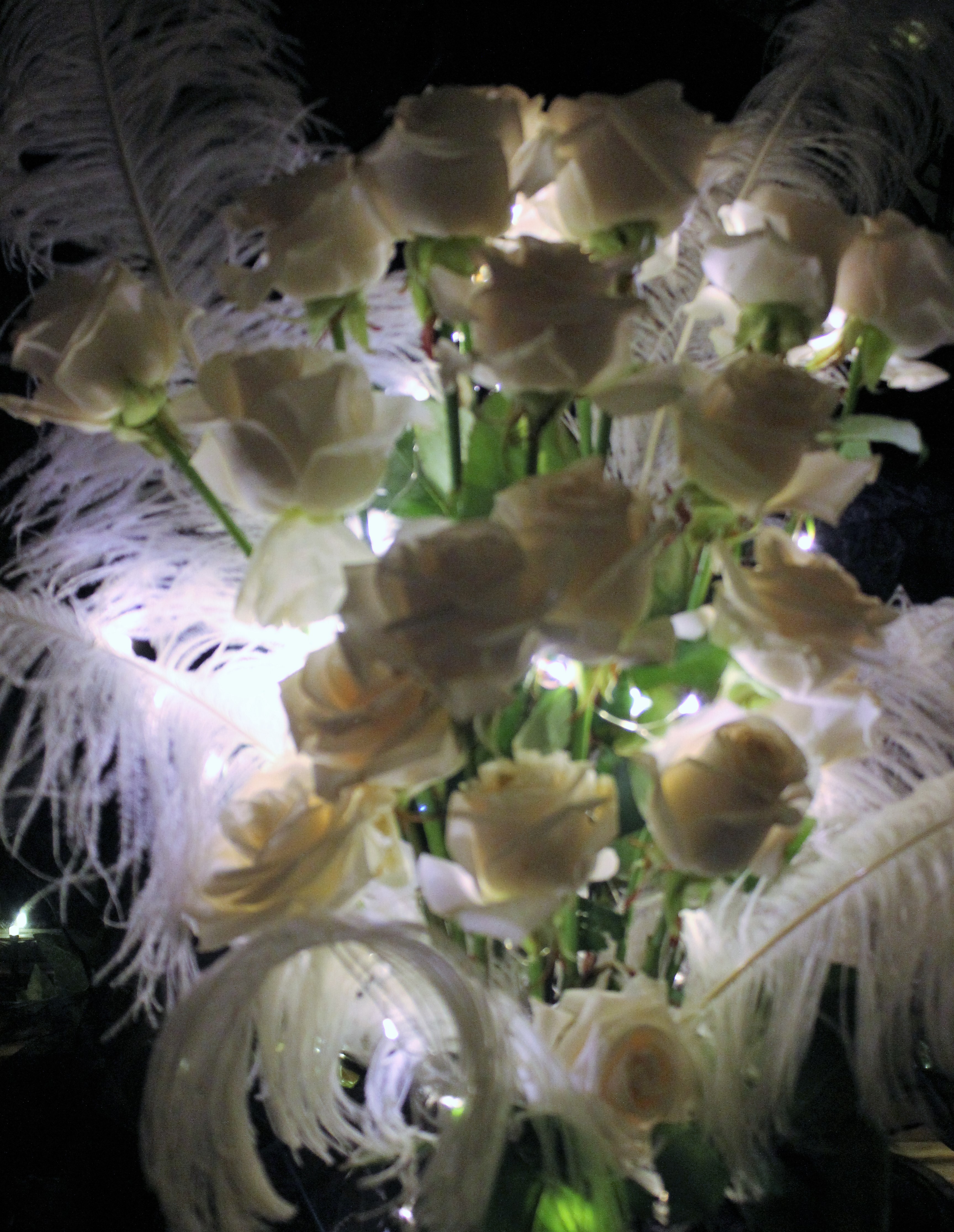 White roses by Redski
