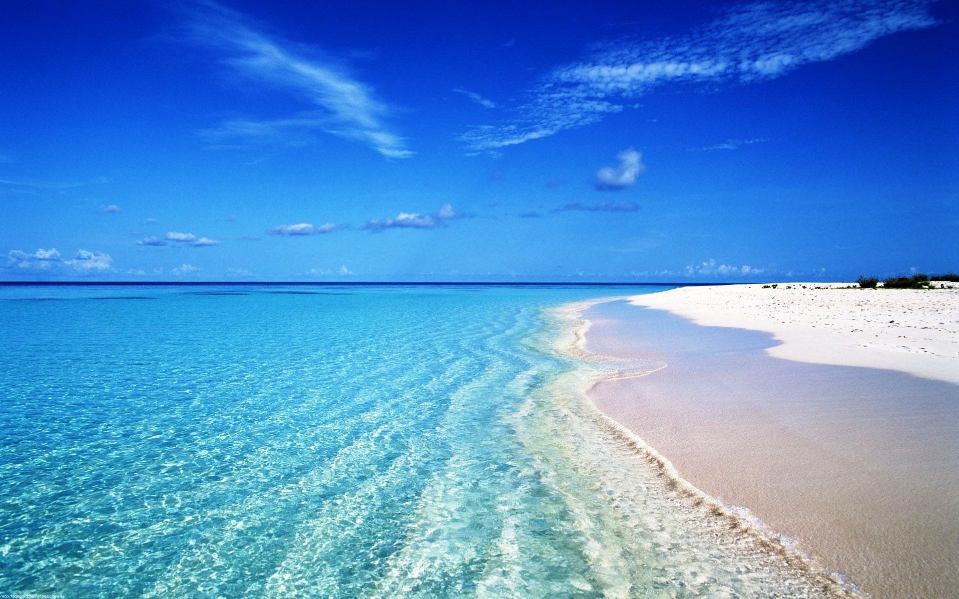 Crystal Clear Water on Tropical Beach - Image Abyss