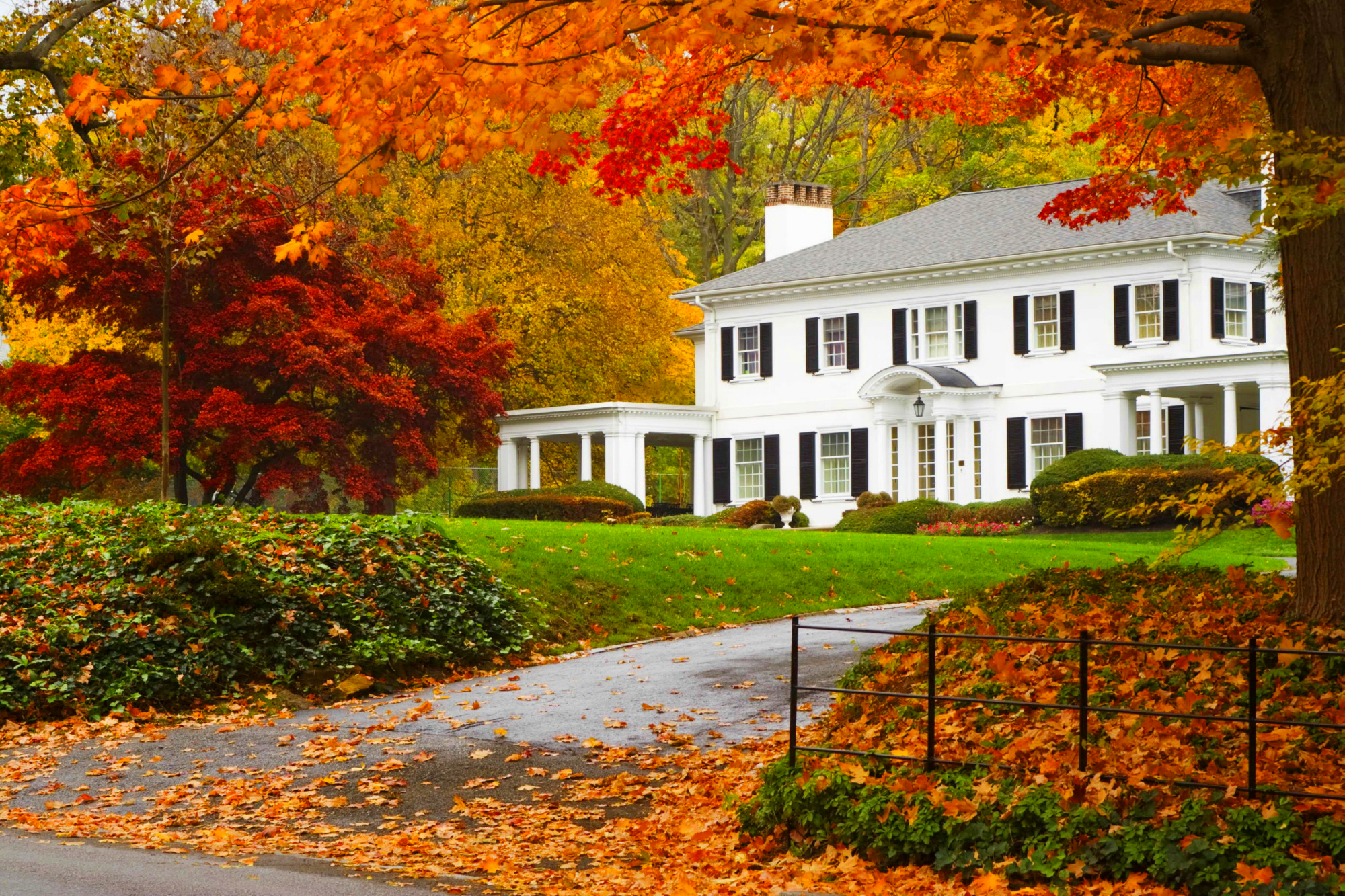 house-in-autumn-image-abyss