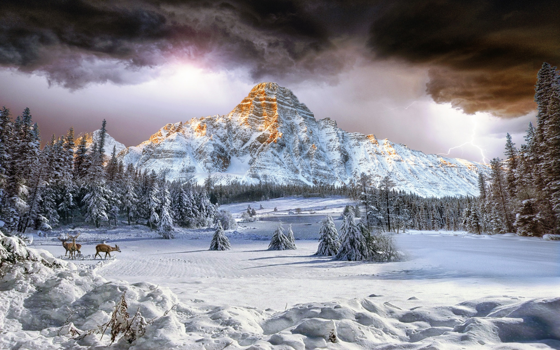 Winter Landscape by JimPix