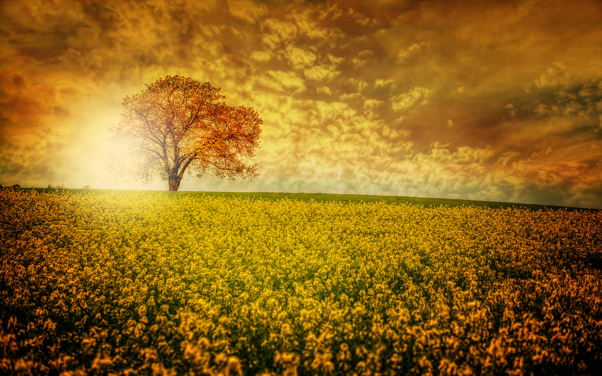 Landscape Picture By Chris Frank Image Abyss