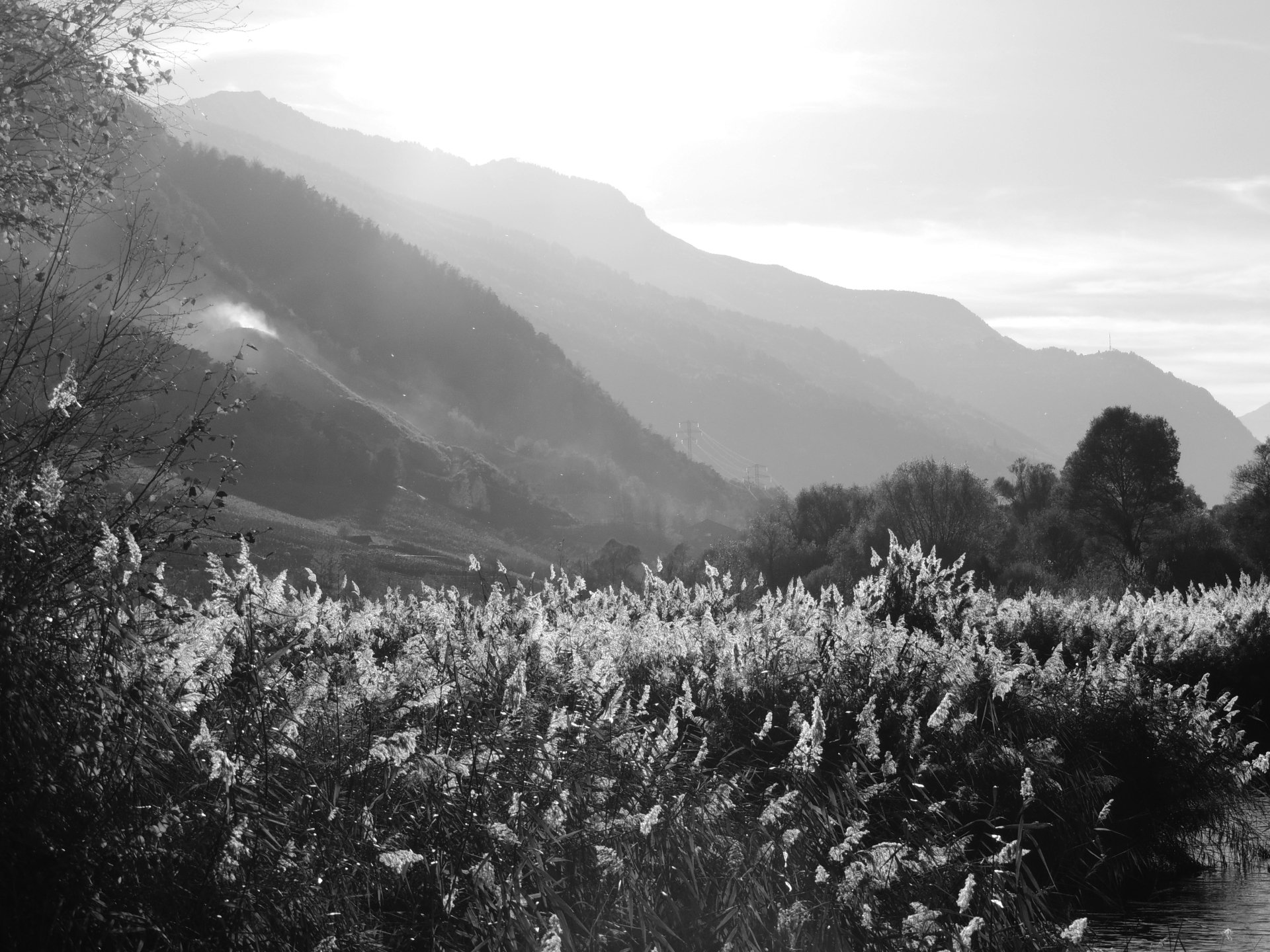 Black & White landscape photograph of a grassy field with reeds in the foreground, rolling hills and layered mountains receding into soft, misty light.