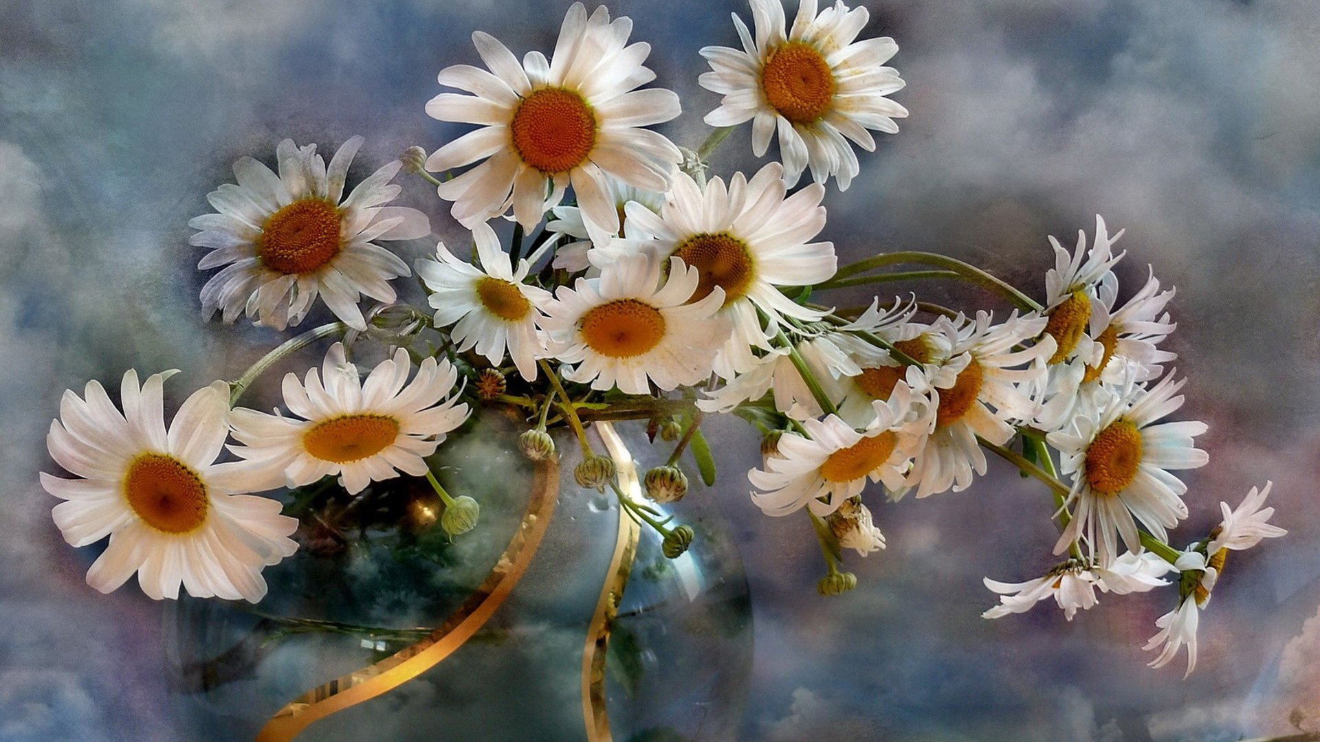camomile white flower man made flower Image