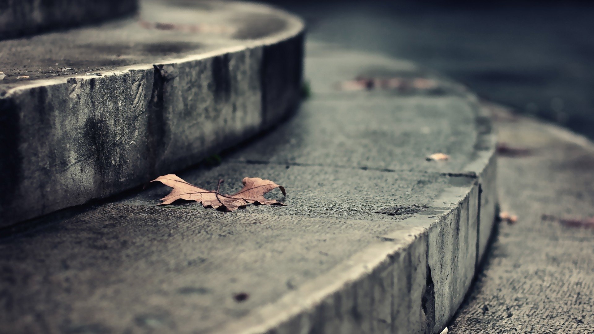 Download Photography Close-up Image