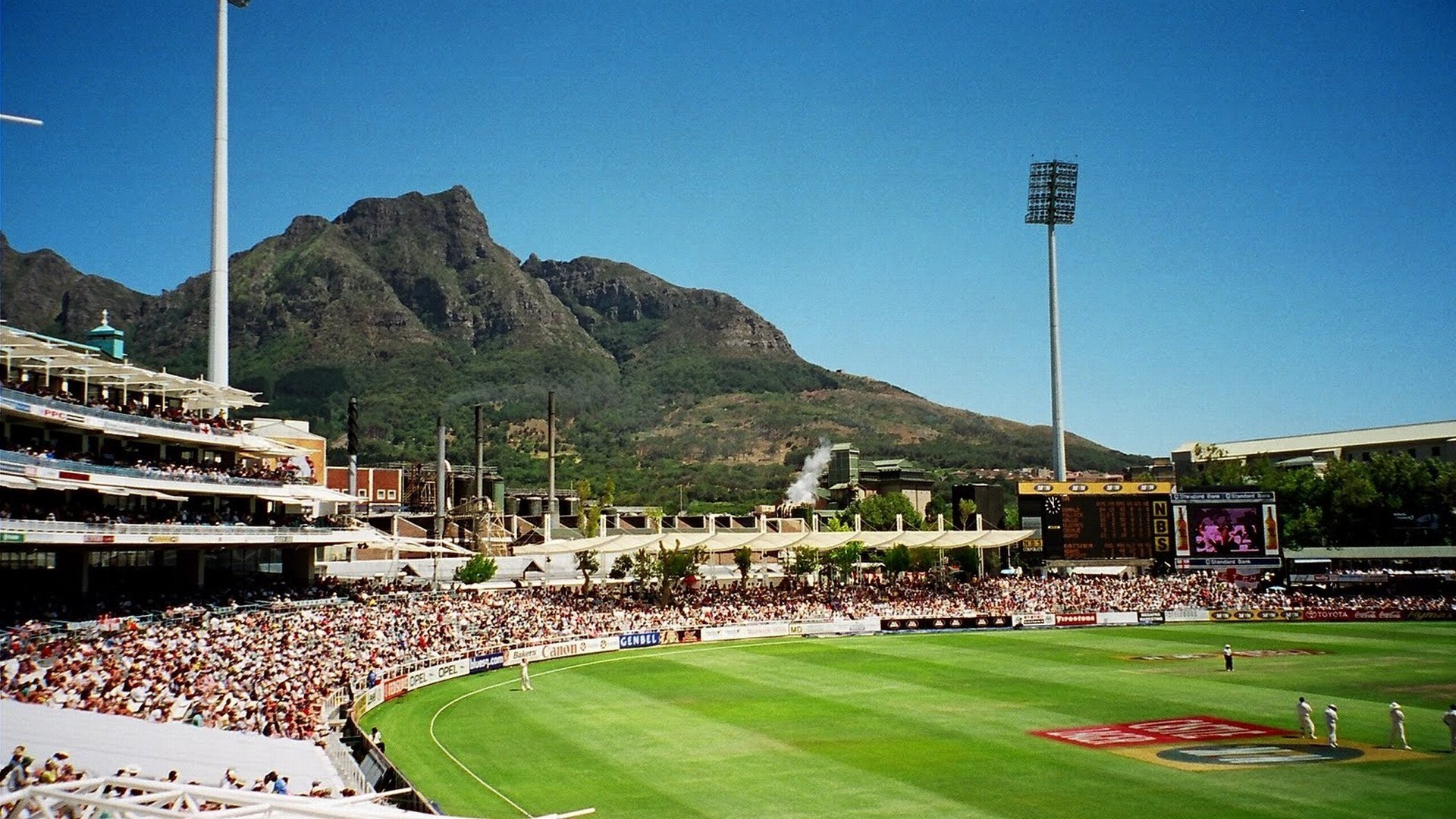 cricket Sports Image