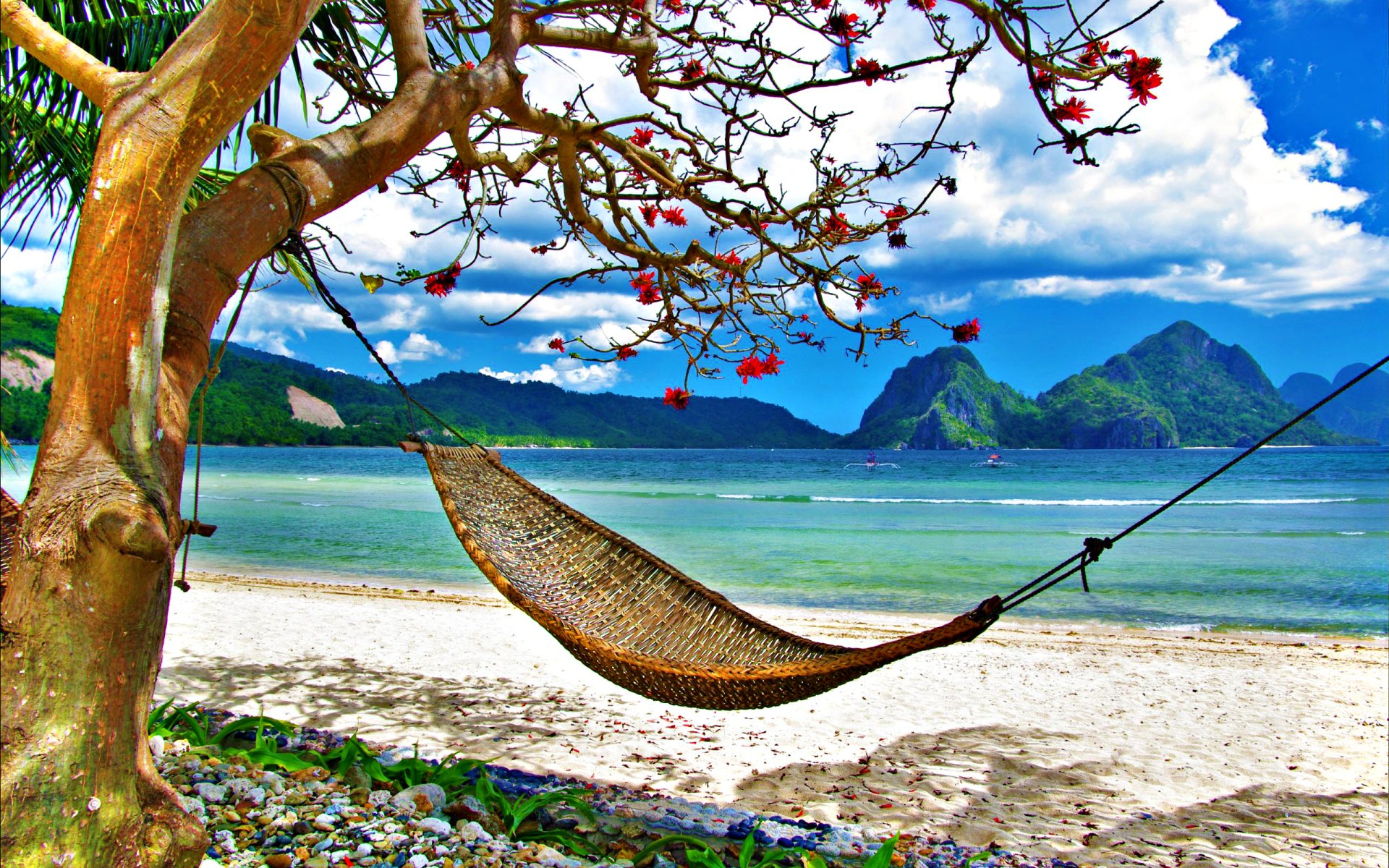  Paradise