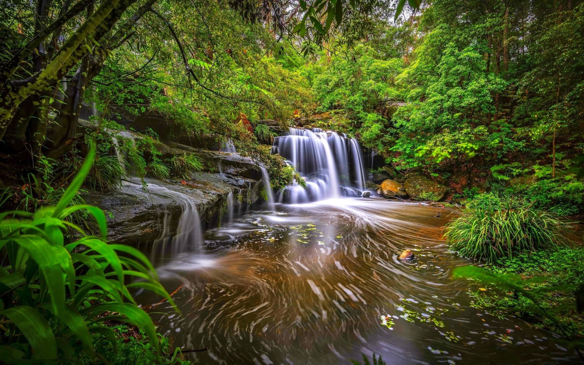 Download Stream Forest Nature Waterfall Image