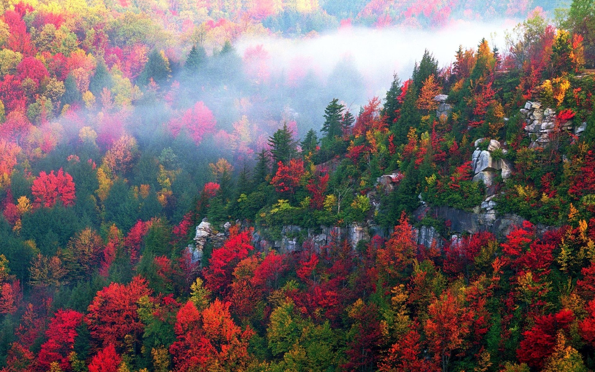 Autumn in the Mountains of West Virginia Image - ID: 294589 - Image Abyss