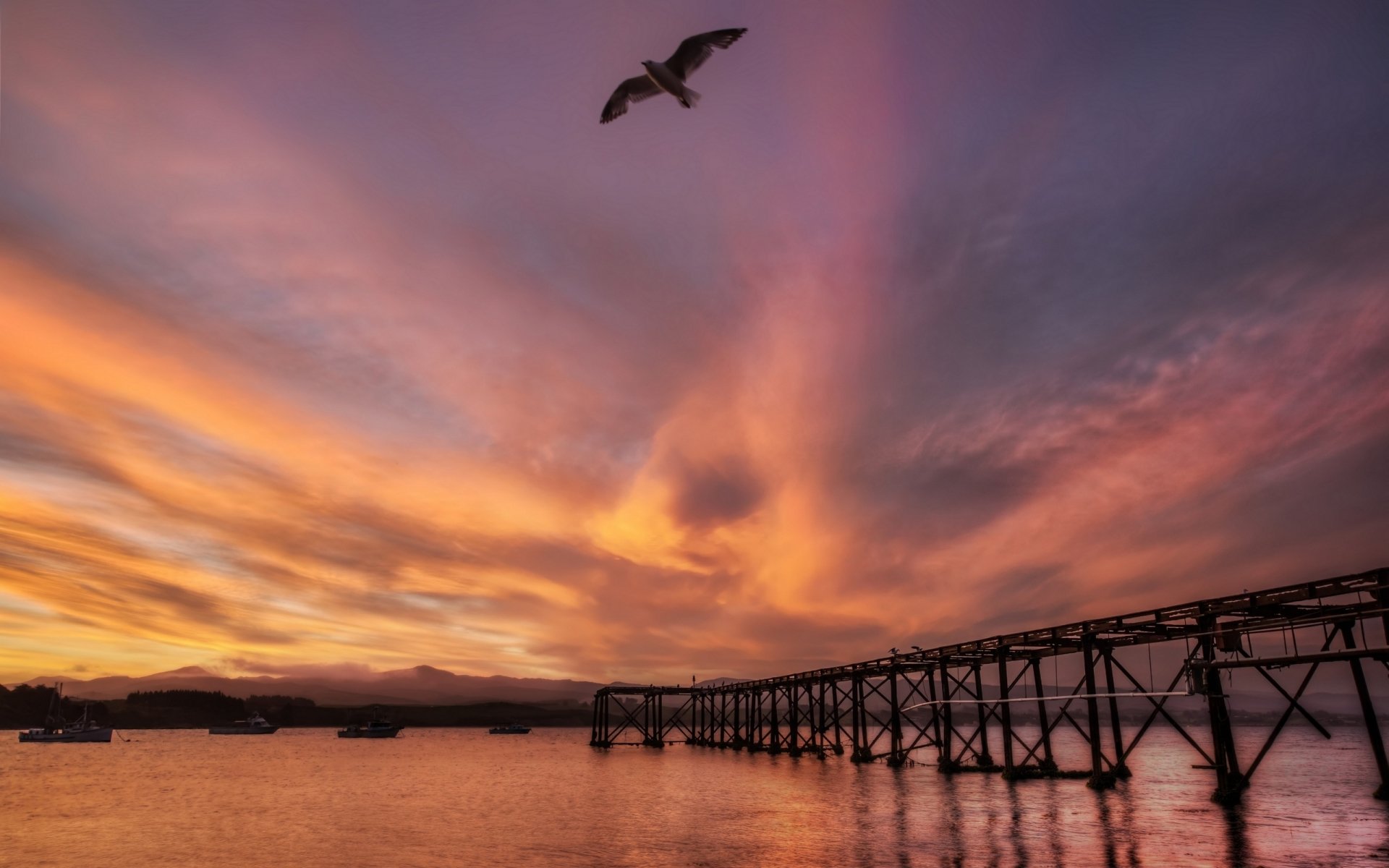 A vibrant sunset casts colorful hues over a man-made pier, with a bird soaring above the tranquil waters, creating a serene and picturesque coastal scene.