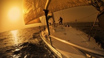 Preview Image 294557