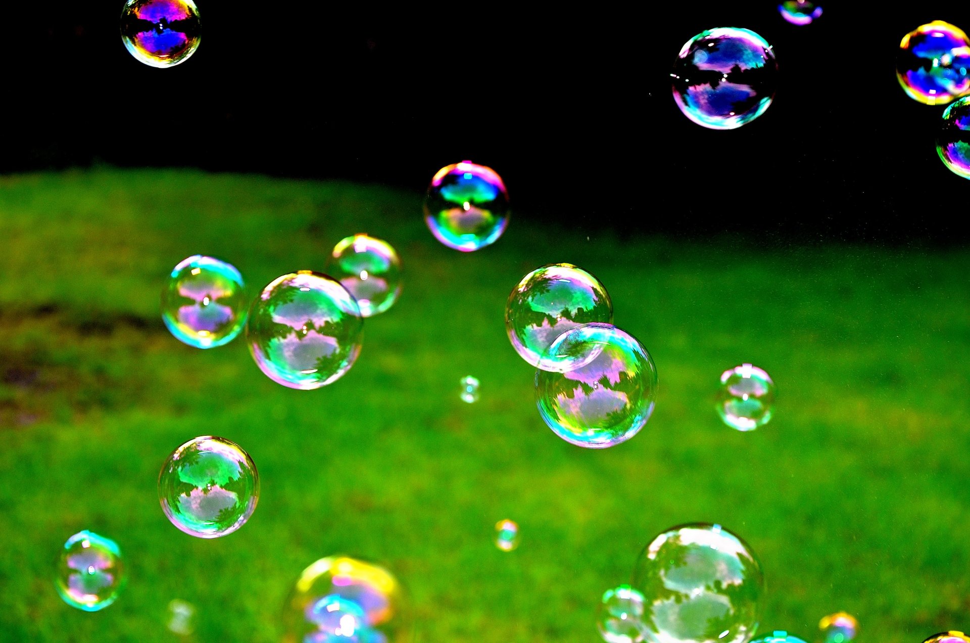close-up photography bubble Image
