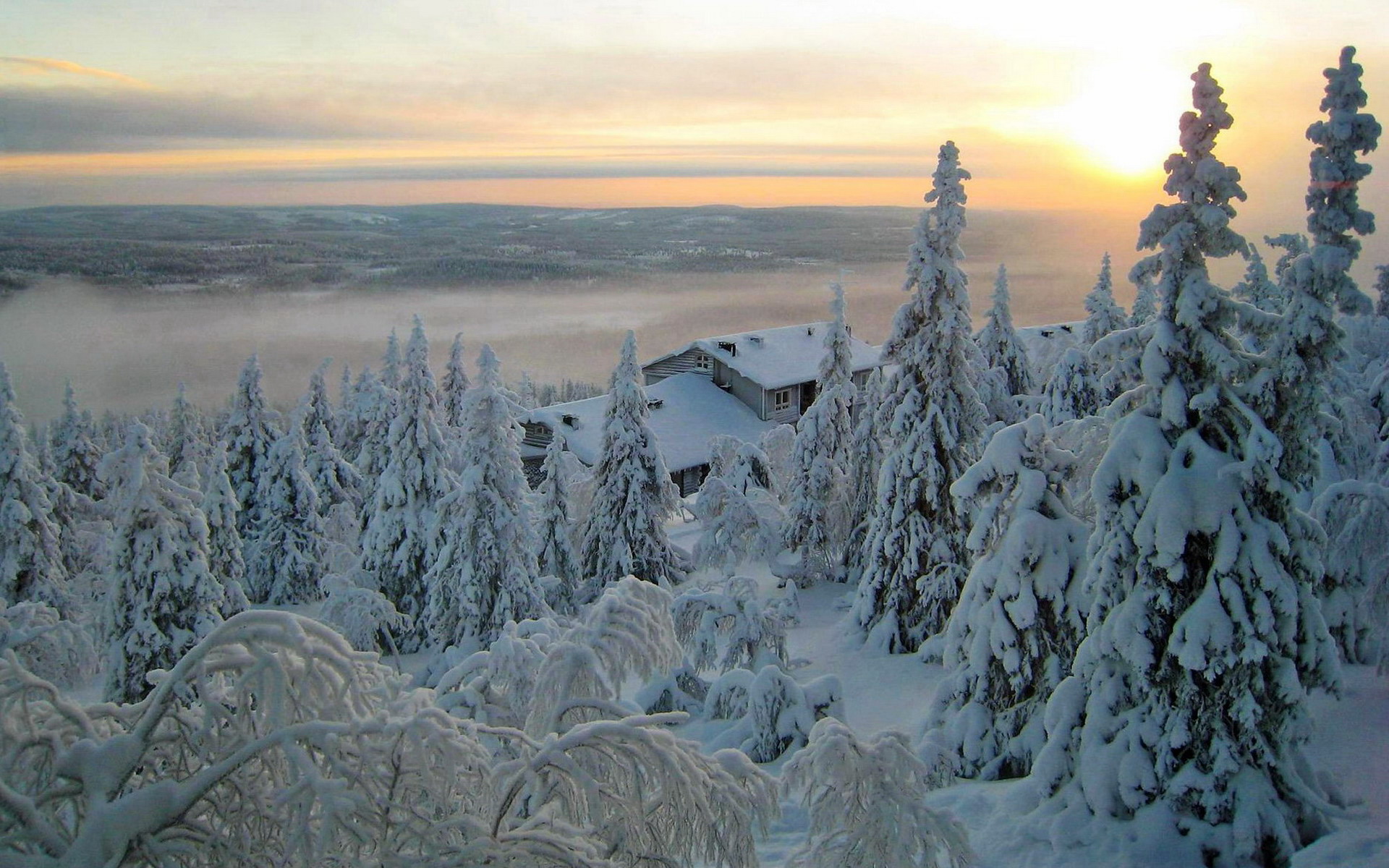 House in Winter Forest - Image Abyss