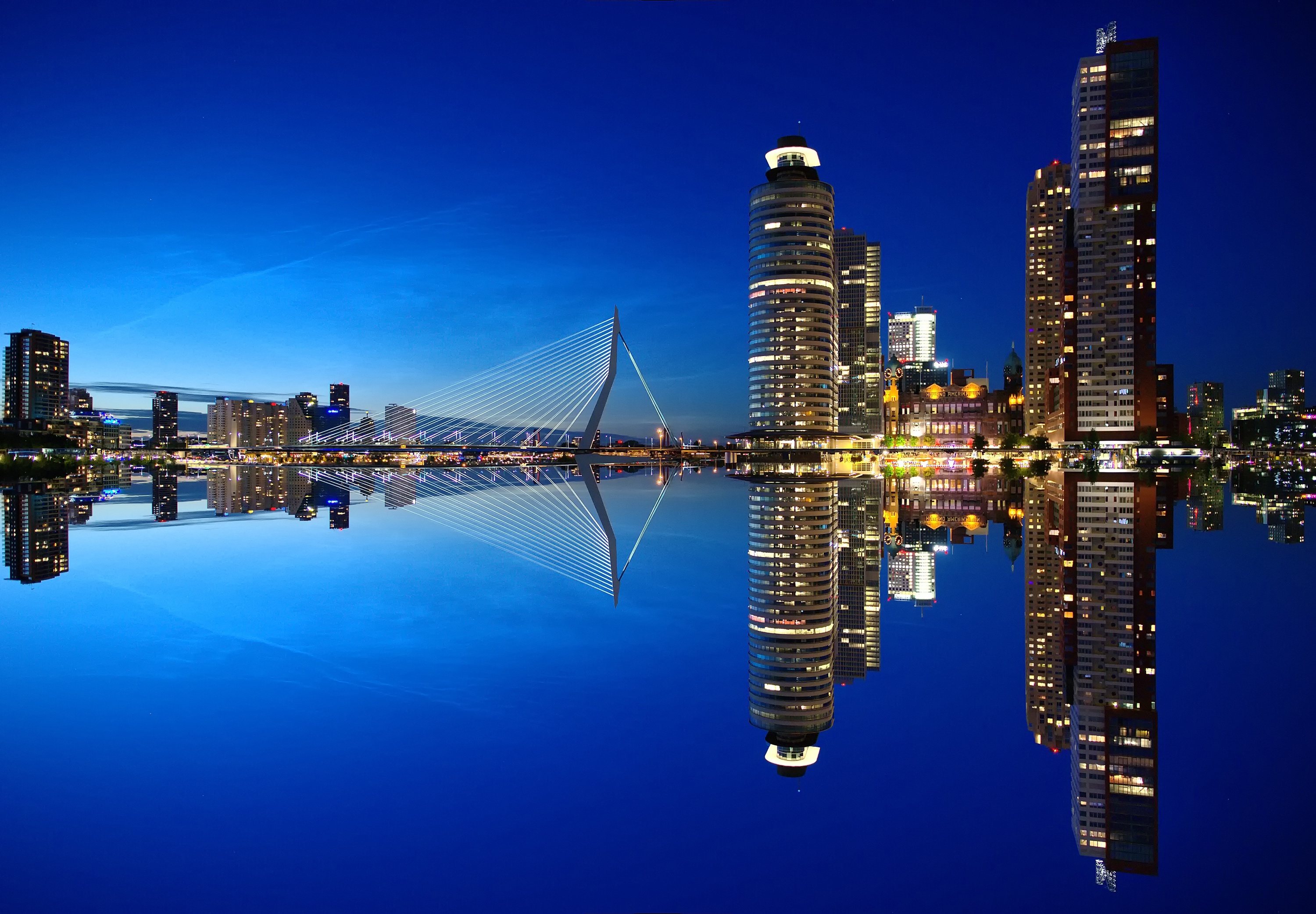 Rotterdam Picture