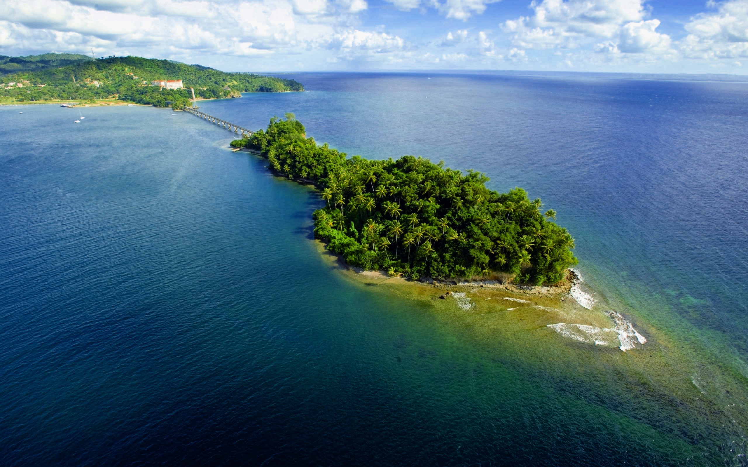Download Horizon Sea Ocean Palm Tree Nature Island Image