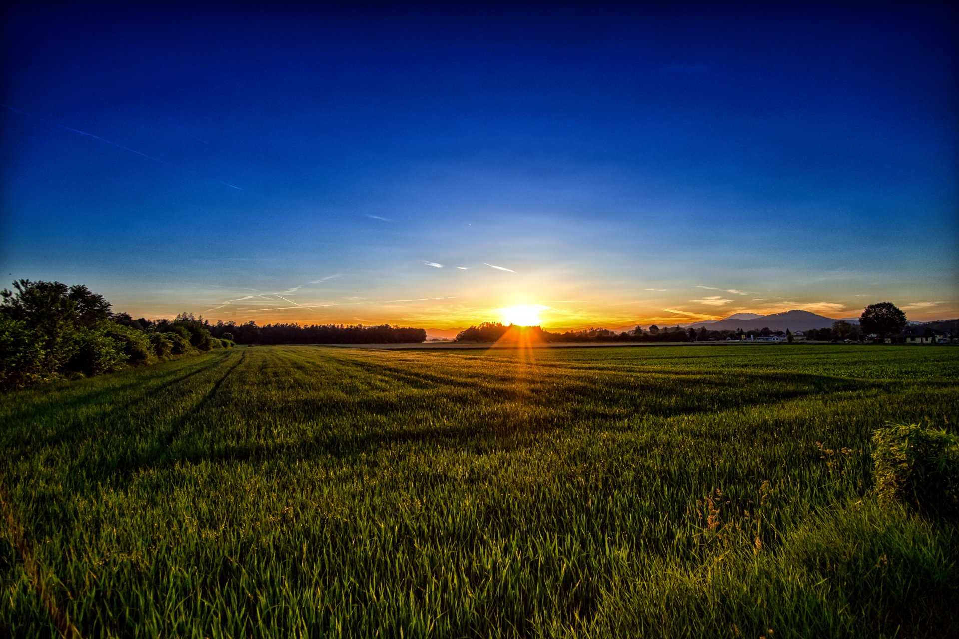 grass sunbeam sunrise summer nature field Image