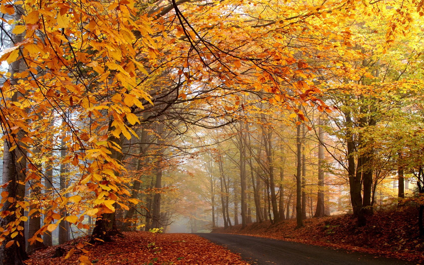 man made road Image