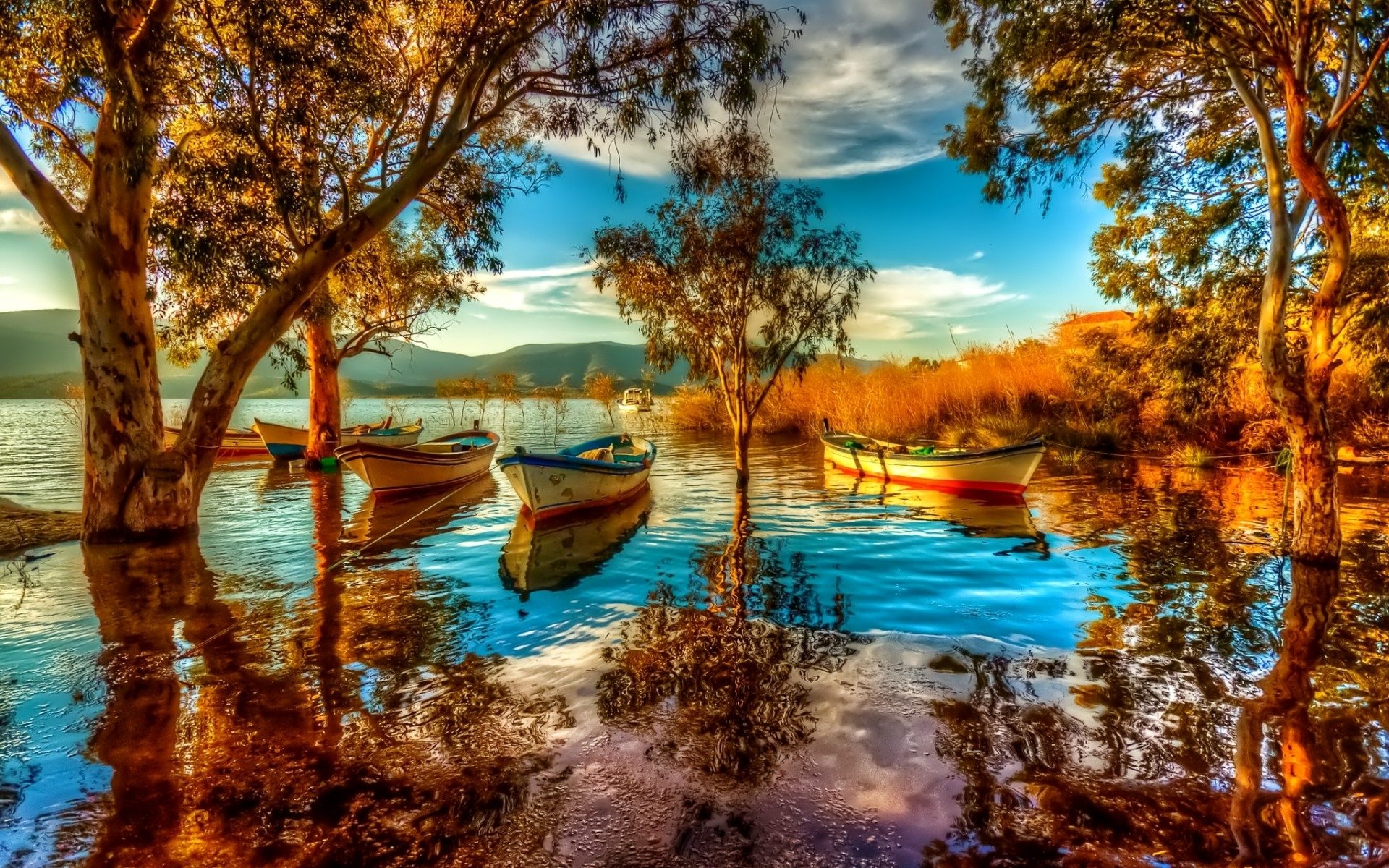 Download Reflection Lake Tree Vehicle Boat Image