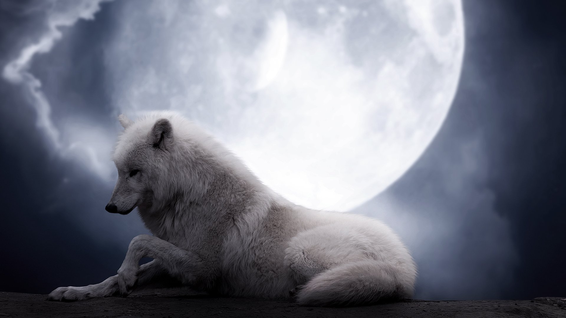 A serene white wolf rests against a dramatic night sky, illuminated by a large full moon, creating a captivating and mystical atmosphere.