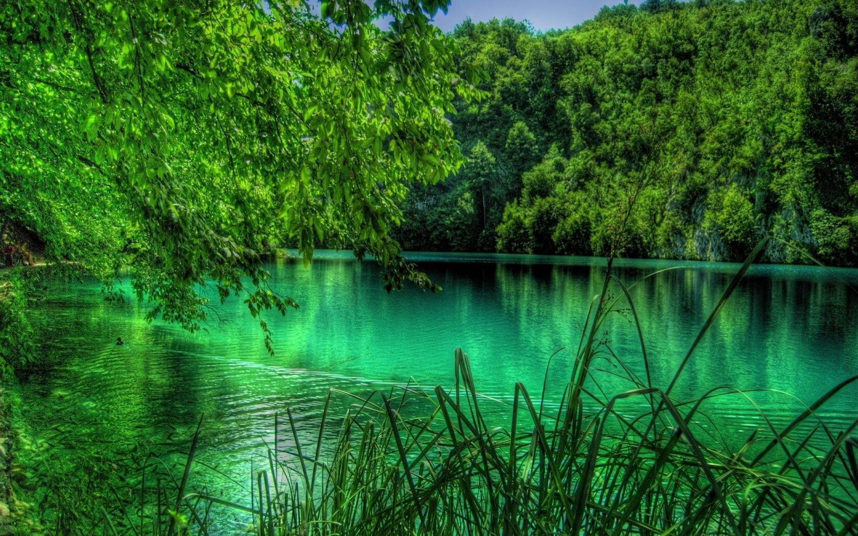 green lake nature plitvice lake Image