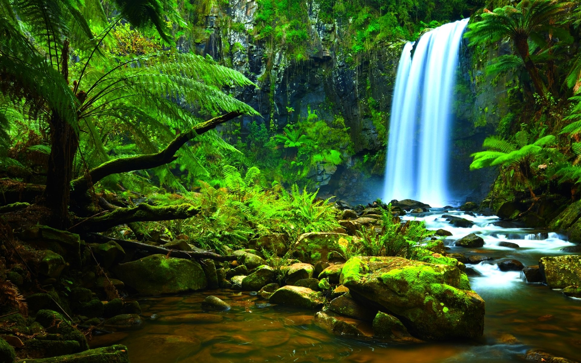 Lush tropical green forest with ferns framing a cascading waterfall tumbling over mossy rocks into a clear stream.
