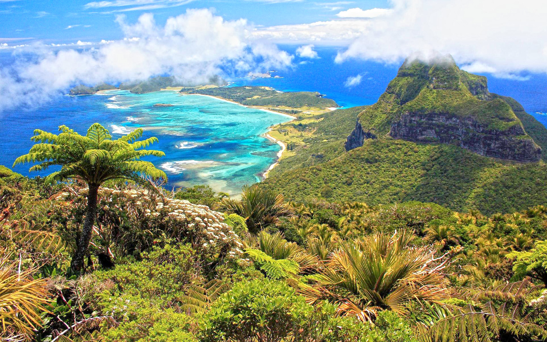 Lord Howe Island Image ID 297250 Image Abyss