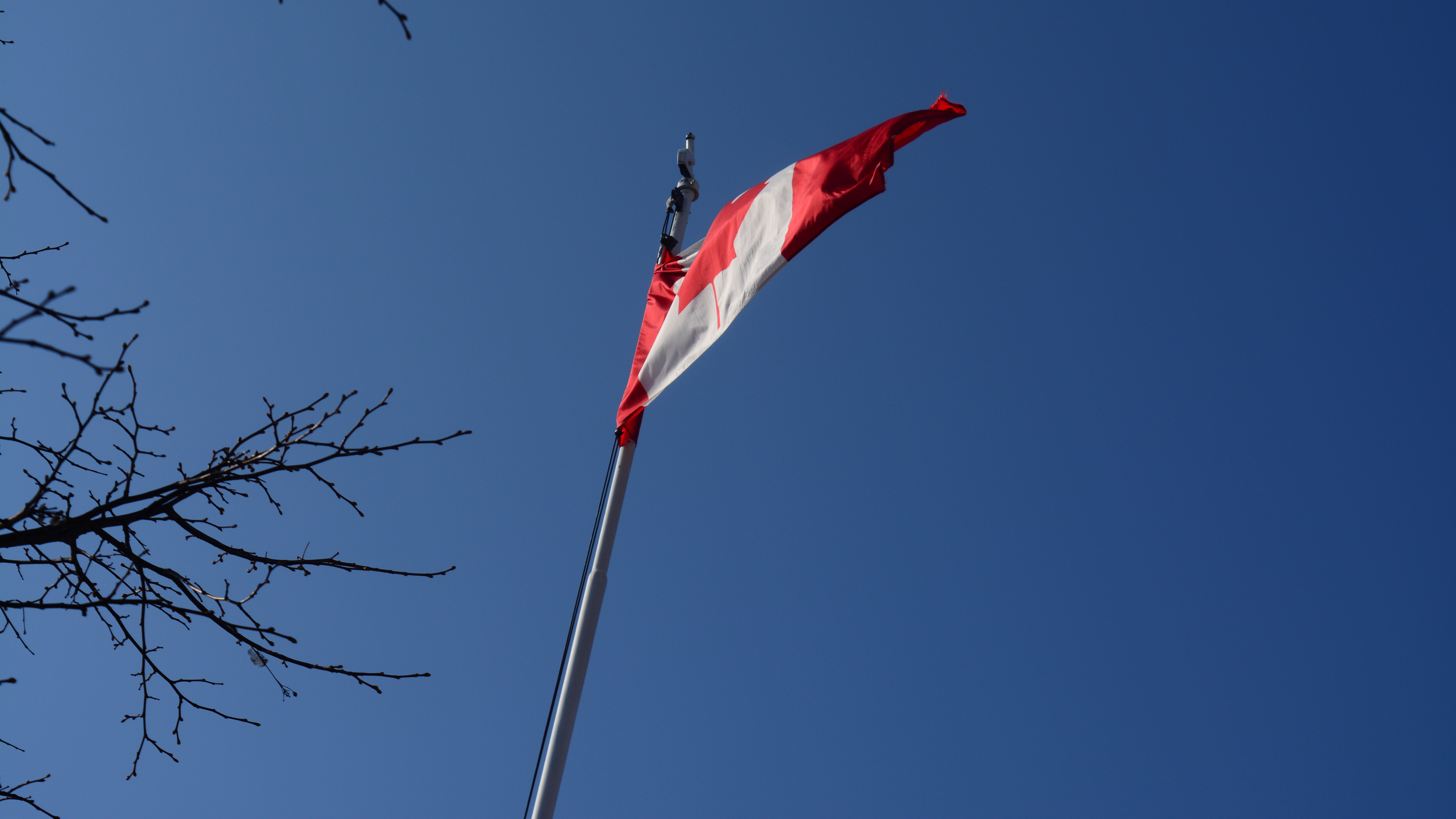 Canadian flag from a different angle Image - ID: 297546 ...