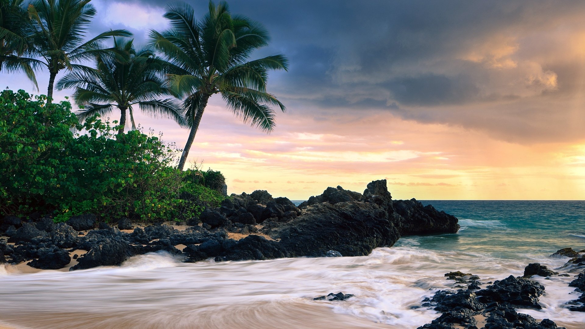 Download Tropics Hawaii Nature Beach Image