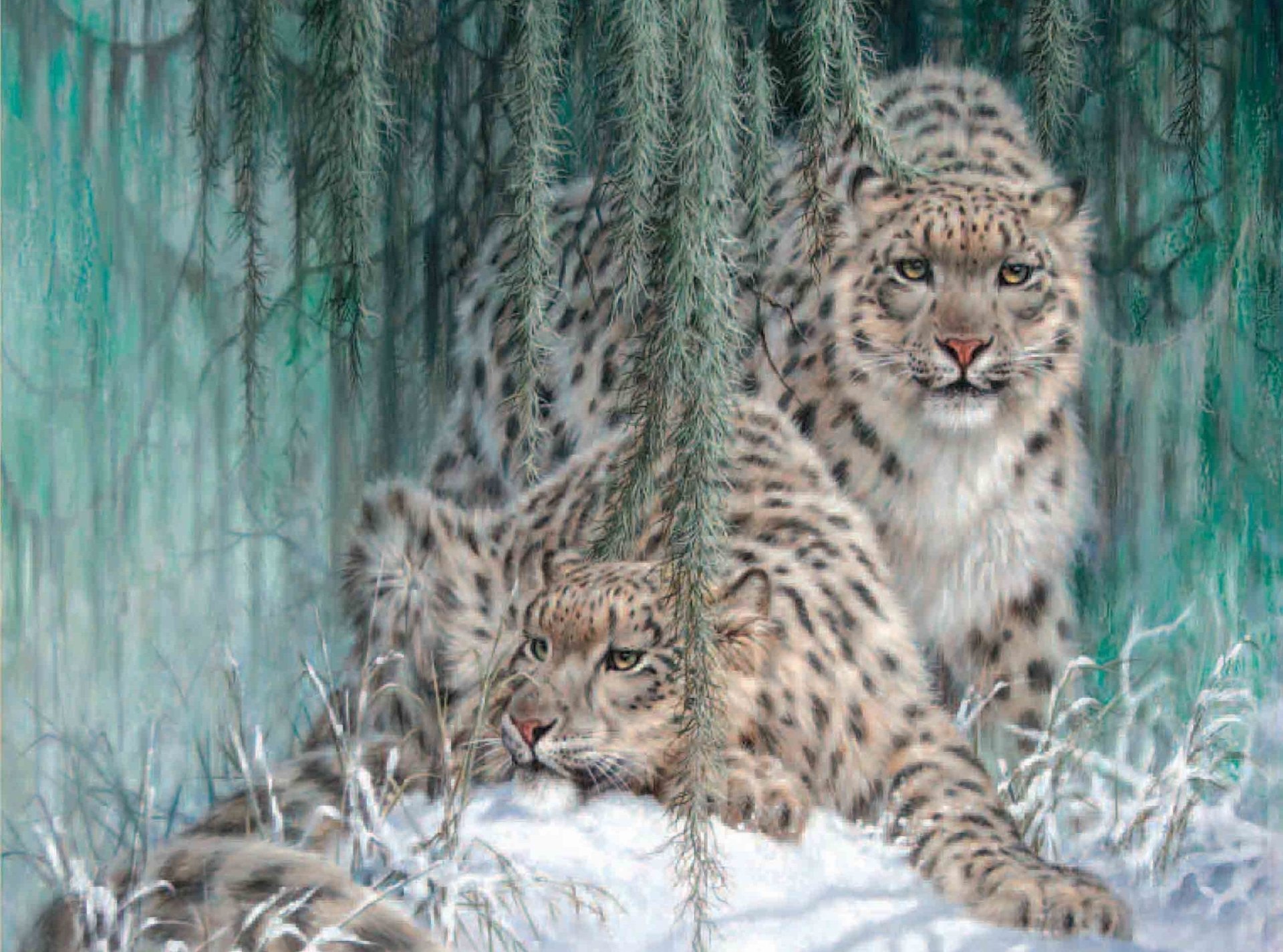 Two snow leopard animals resting on snow under draping moss; one lies relaxed while the other watches, their spotted coats blending into the frosty foliage.