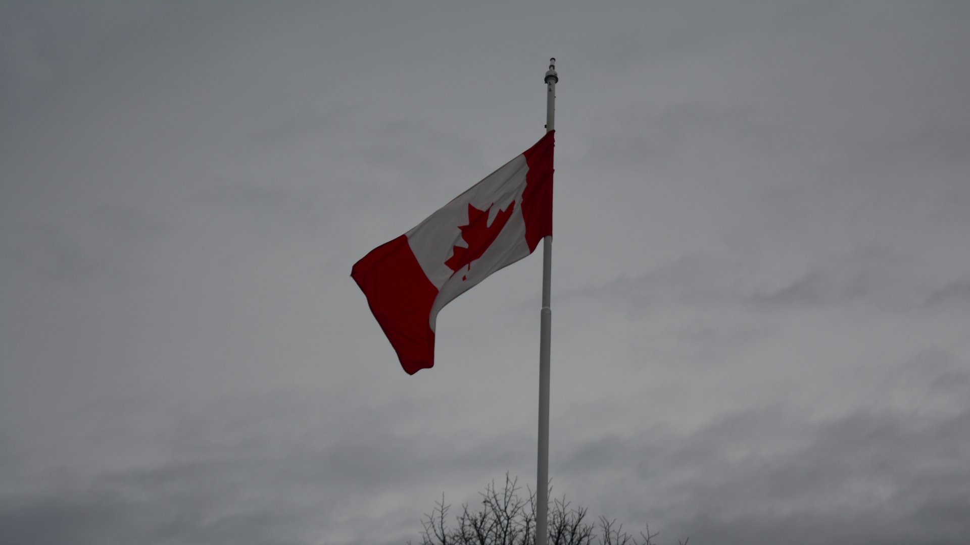 Misc flag of canada Image