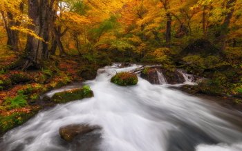 Preview Image 297181