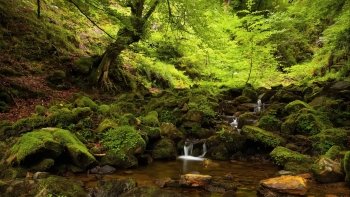 Preview Image 297602
