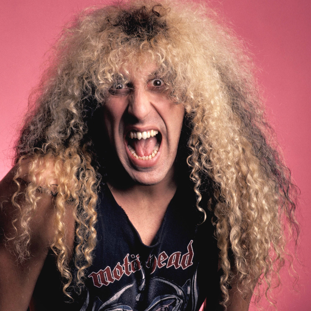 Twisted Sister Picture
