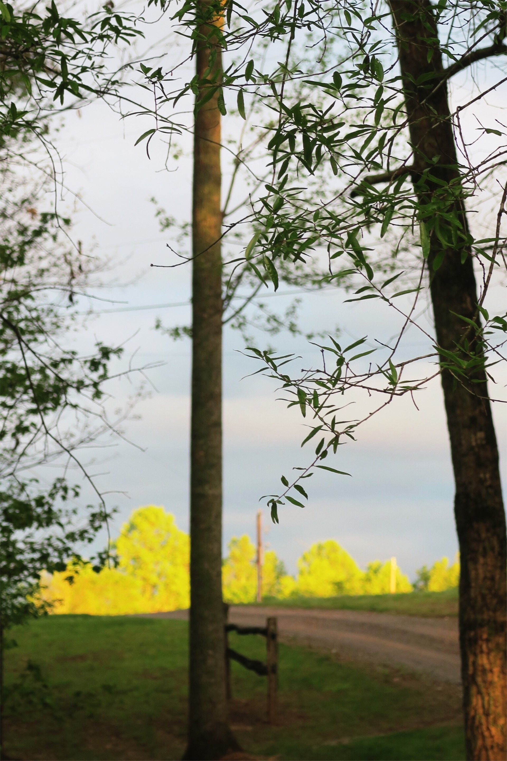  And Let There Be Light