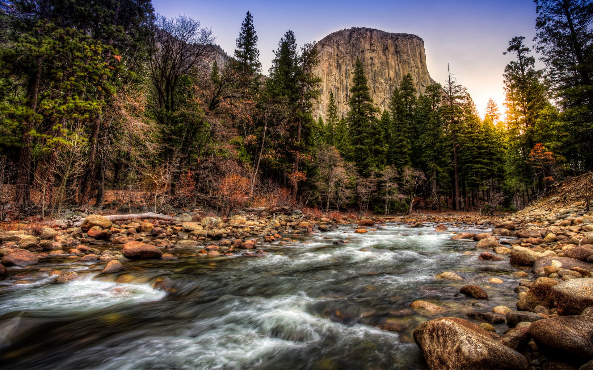 Download Cliff Forest Nature River Image