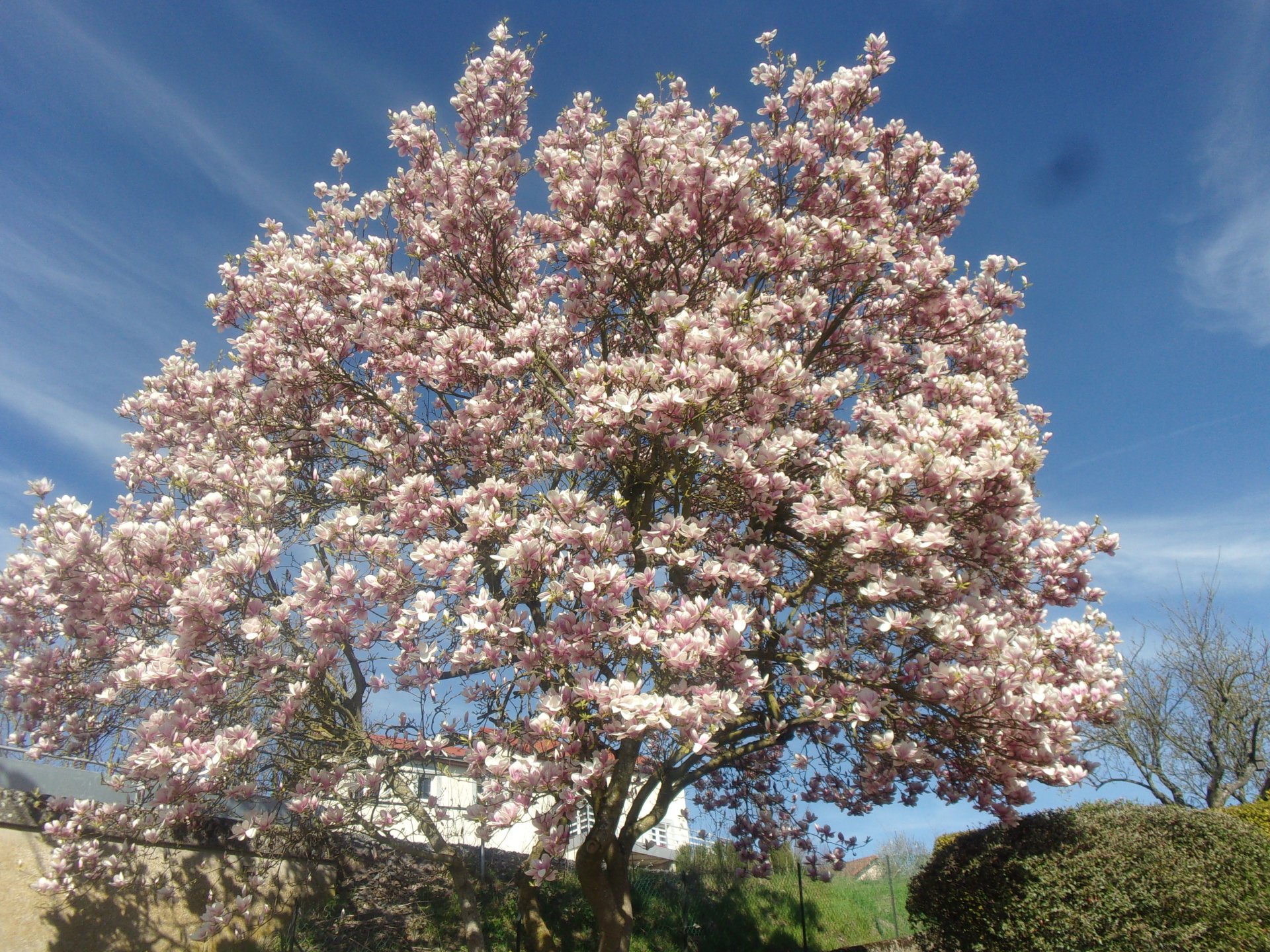  balade de printemps
