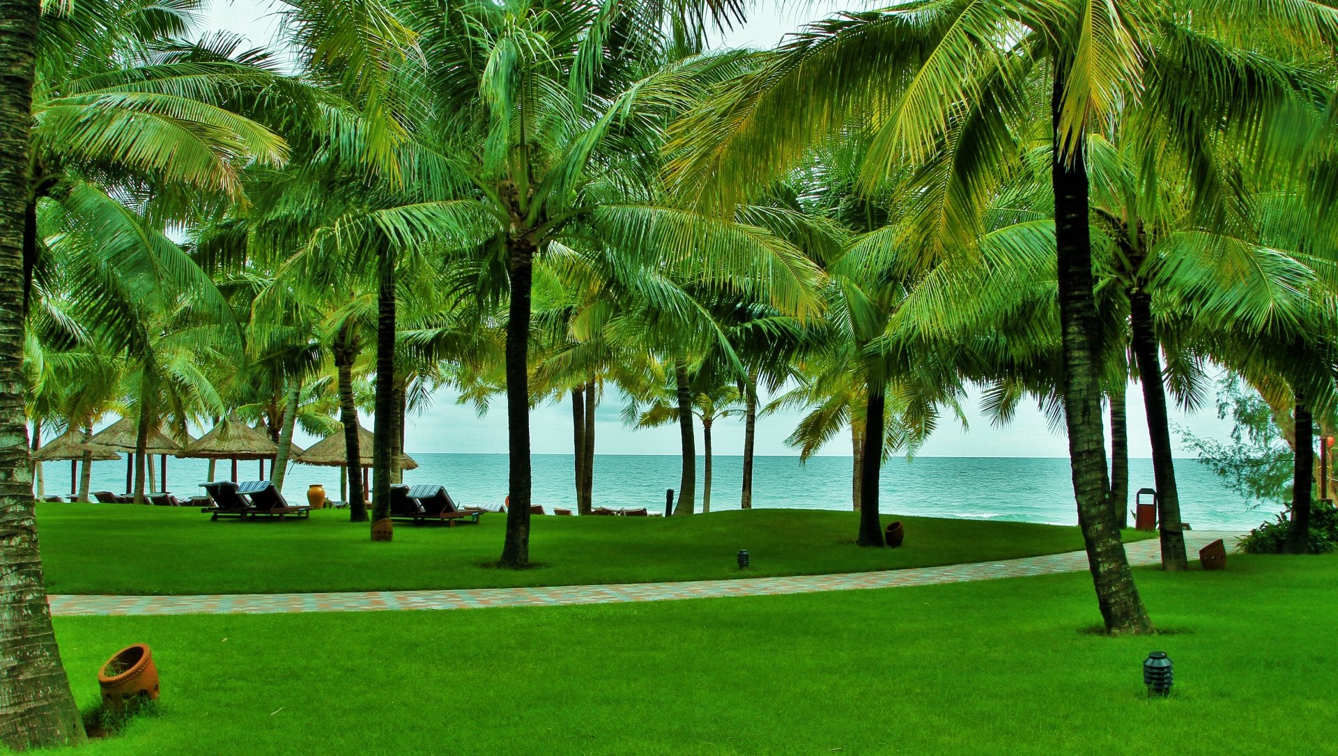  Seaviwew Coconuts