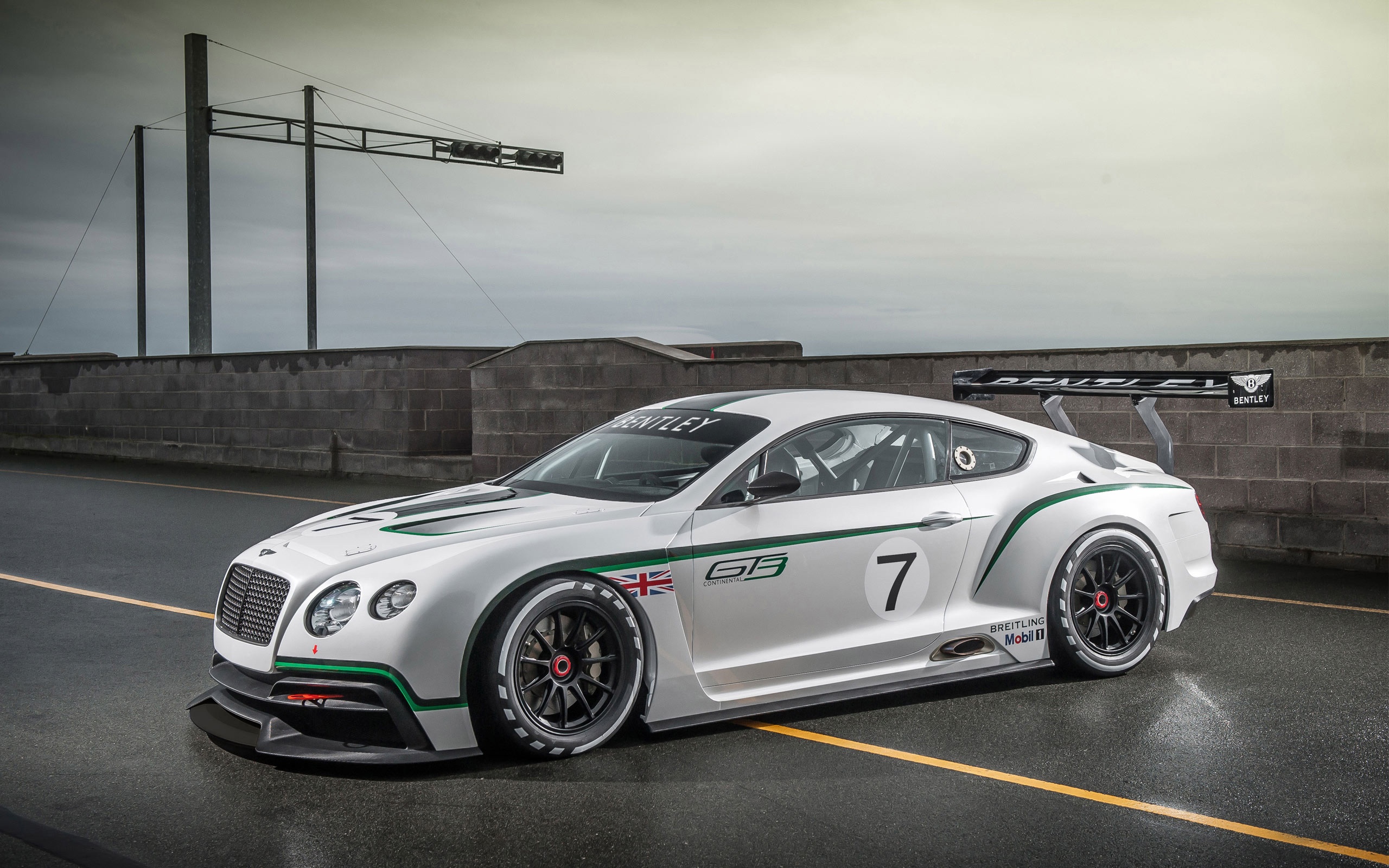 Bentley Continental GT3 Picture