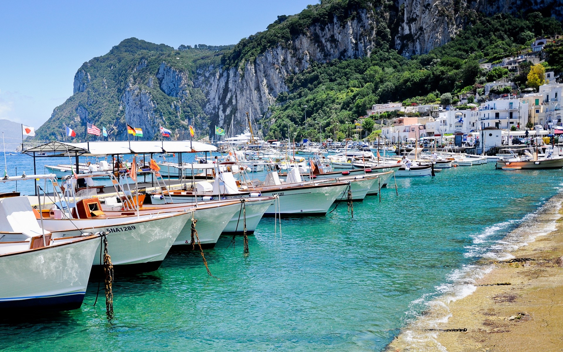 Harbor Picture