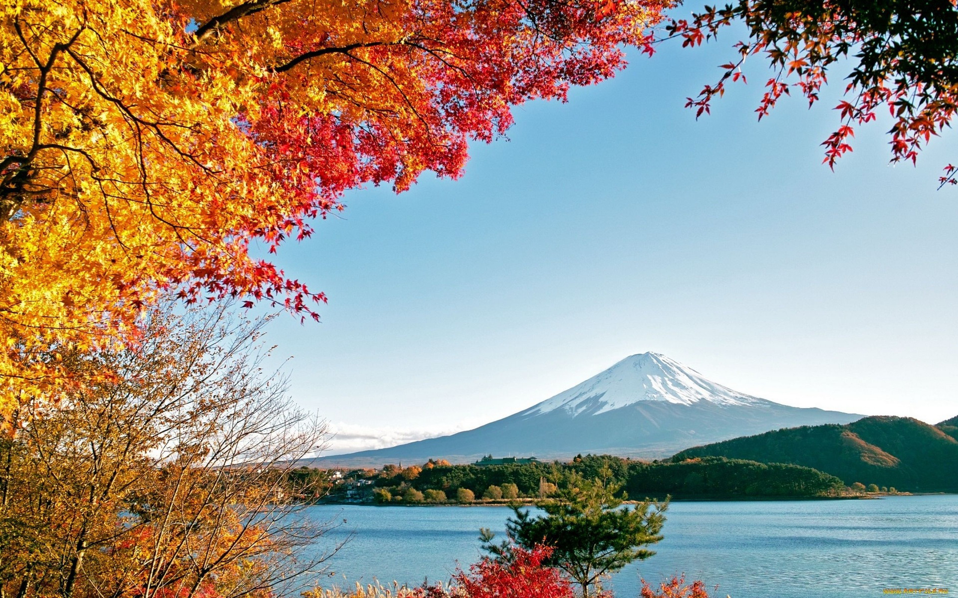 Mount Fuji Picture