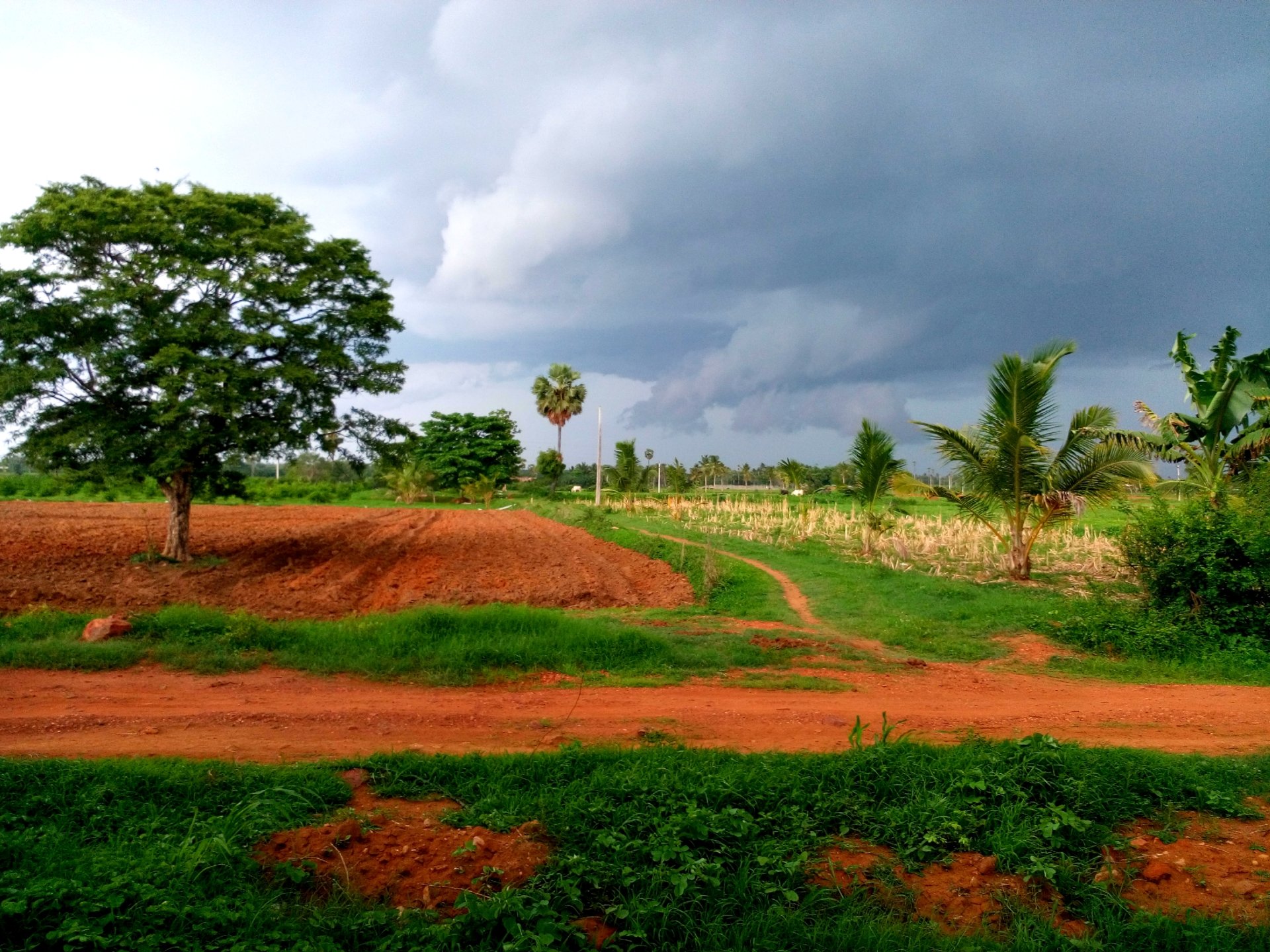 photography nature Image