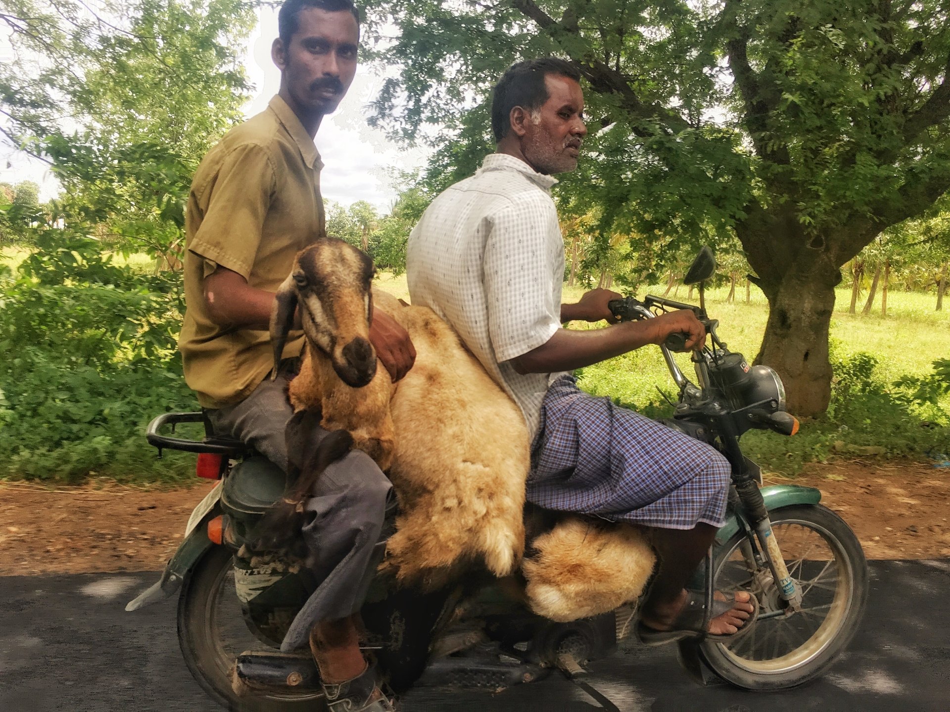  Mode of transportation