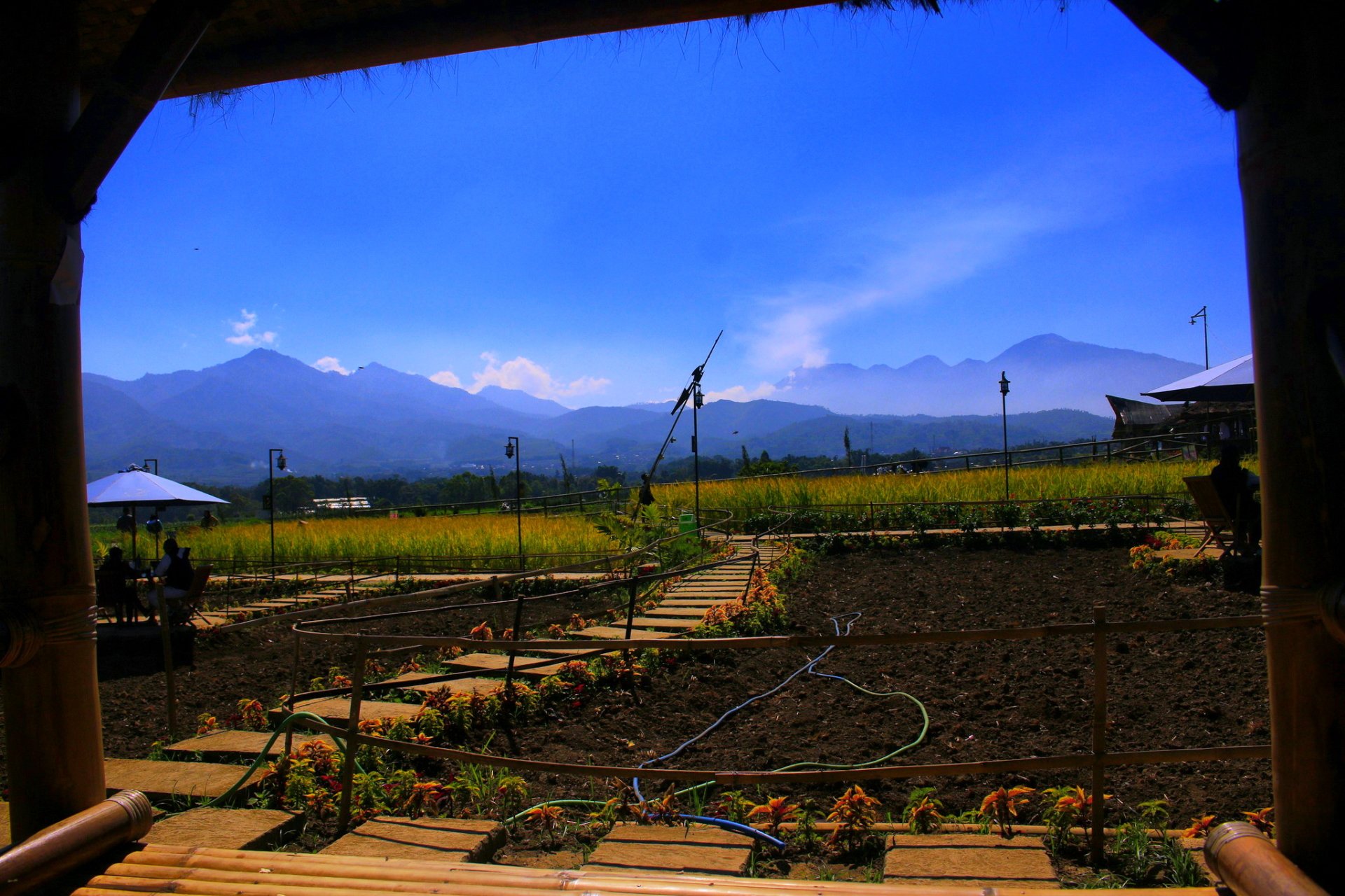  field cafe/Malang/Indonesia